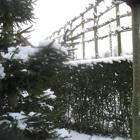 B&B Greenhouse 37-3